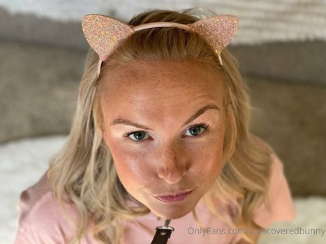 bunnycovered