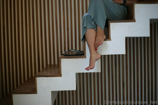 eurasian_feet