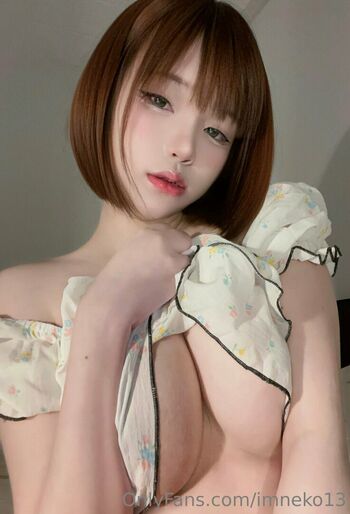 Imneko13