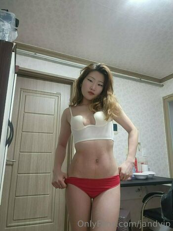 jandvip