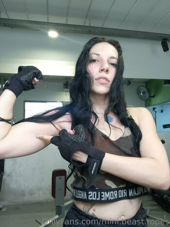 mini.beast.ropes