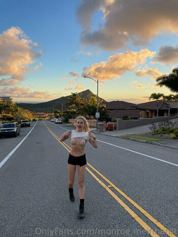 monroe.meinhardt