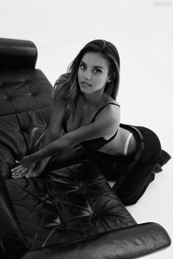 Nicola Cavanis