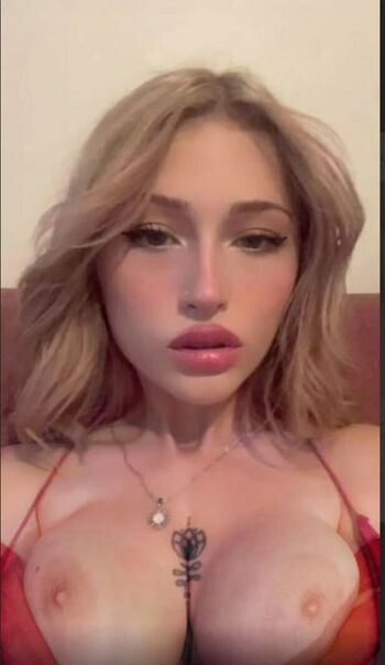 nurracarr_