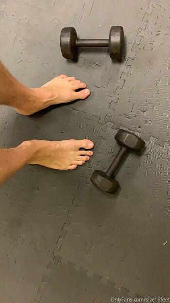 size16feet