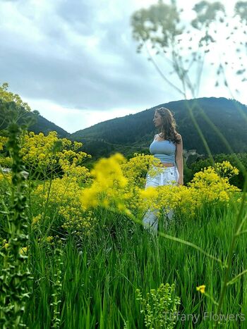 thetiffanyflowers